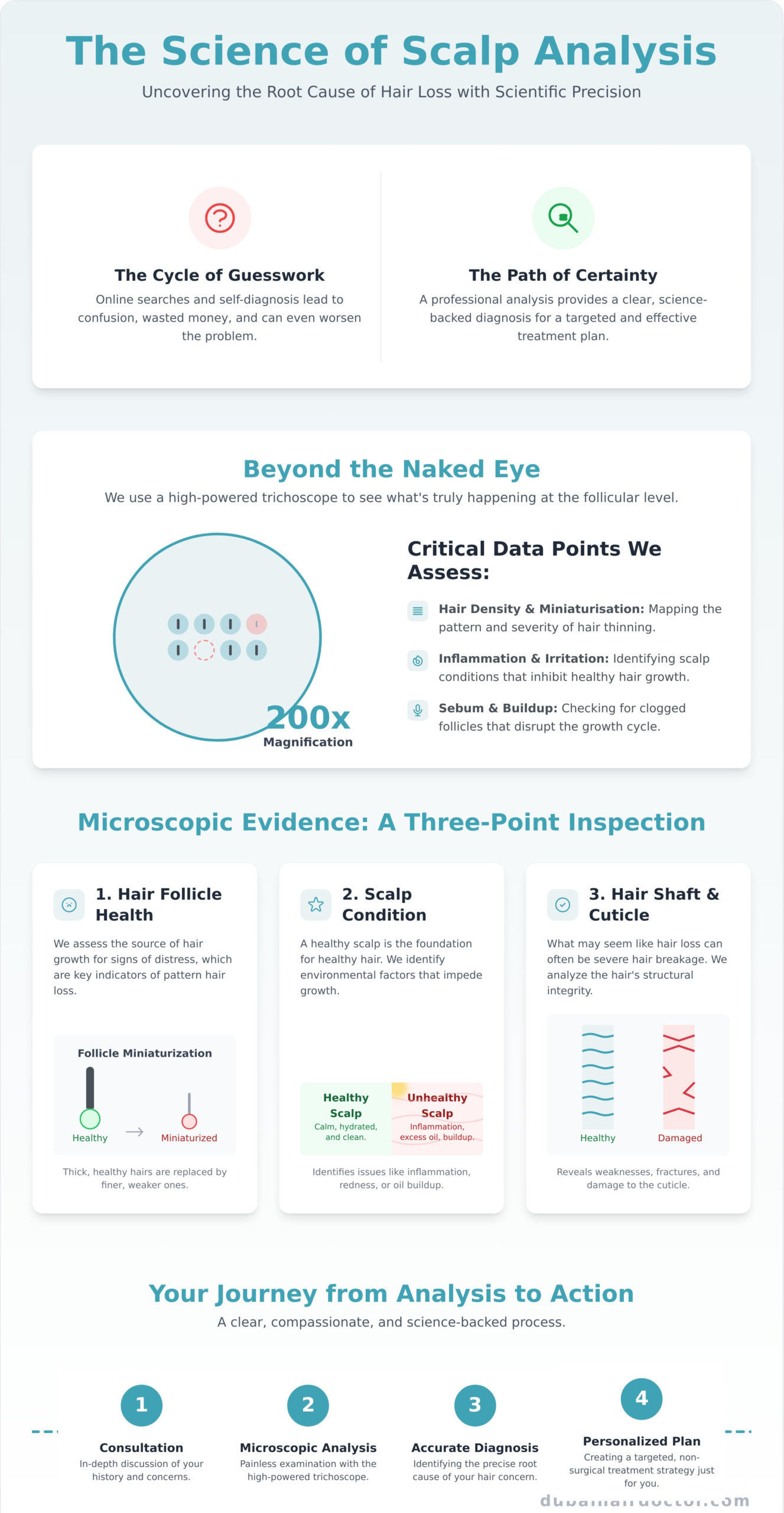Scalp Analysis for Hair Loss in Dubai: Your First Step to Healthy Hair - Infographic
